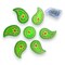Diya Floor Rangoli Indian Traditional Handmade Reusable Acrylic Diya Rangoli Diwali Navratri Home Temple Decor Deepawali Wedding Housewarming Gift Floor Table Decoration (6.5 Inches)